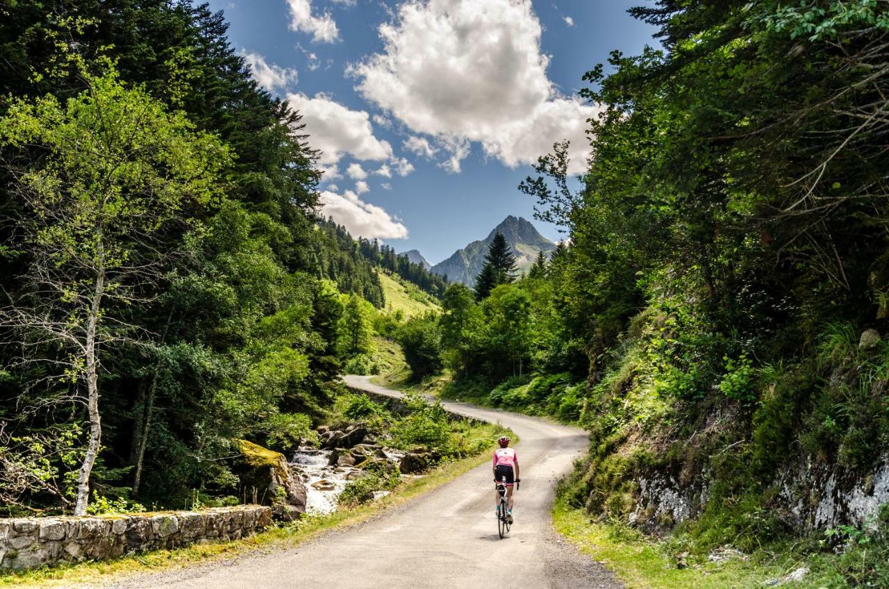 Pyrenees Cycling Lodge Saint-Savin (Hautes-Pyrenees) Bagian luar foto